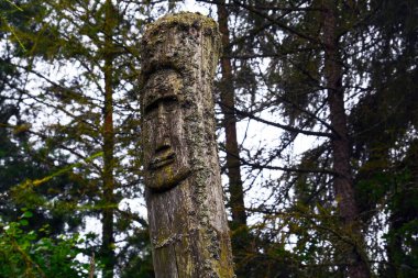 Slovakya 'daki Havranok arkeoloji müzesinde insan yüzü olan Kelt totemi direği