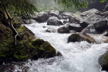 Kezmarska Biela voda, vadideki Tatra dağından bir dere.