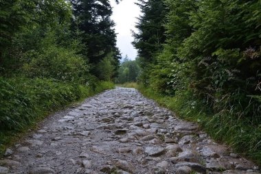 Tatra dağlarındaki Kezmarska Vadisi 'ndeki dağlara giden kirli ve kayalık yol.