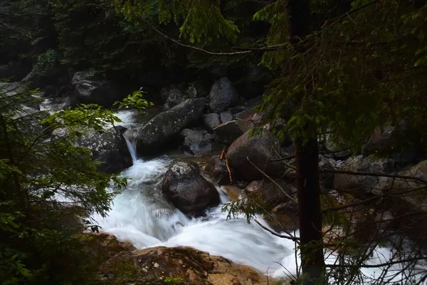 Kezmarska Biela voda, vadideki Tatra dağından bir dere.