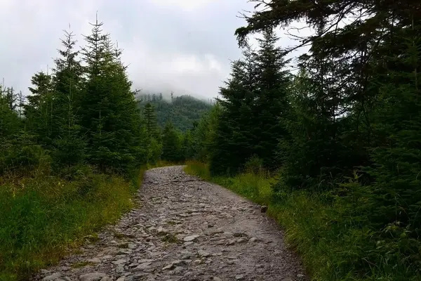 Tatra dağlarındaki Kezmarska Vadisi 'ndeki dağlara giden kirli ve kayalık yol.