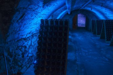 Eisenstadt 'daki Esterhazy Sarayı' nın altındaki şarap mahzeni ya da Avusturya 'daki Kismarton.
