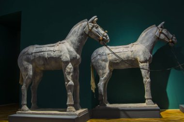 SZEGED, HUNGARY 27 AĞUSTOS. 2023: Szeged 'deki Mora Ferenc Müzesi' ndeki Çin sergisinde çamurdan atlar