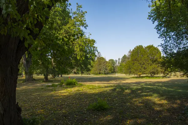 Macaristan 'daki Nagymagocs Karolyi Klanının Parkı
