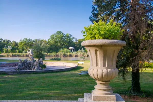 Macaristan 'ın Nagymagocs şehrindeki Karolyi Kast' ında taş çiçek standı.