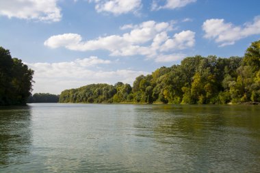 Martly ve Szeged yakınlarındaki Tisza nehri sonbaharda terk edilmiş limanda.