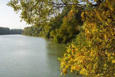 Martly ve Szeged yakınlarındaki Tisza nehri sonbaharda terk edilmiş limanda.