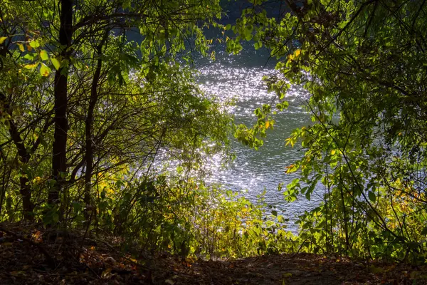 Martly ve Szeged yakınlarındaki Tisza nehri sonbaharda terk edilmiş limanda.