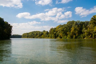 Martly ve Szeged yakınlarındaki Tisza nehri sonbaharda terk edilmiş limanda.