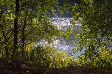 Martly ve Szeged yakınlarındaki Tisza nehri sonbaharda terk edilmiş limanda.