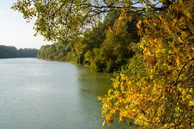 Martly ve Szeged yakınlarındaki Tisza nehri sonbaharda terk edilmiş limanda.