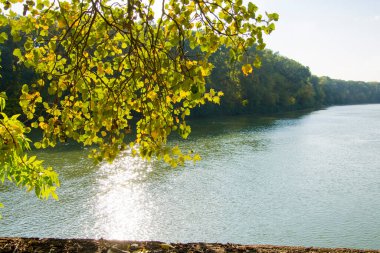 Martly ve Szeged yakınlarındaki Tisza nehri sonbaharda terk edilmiş limanda.