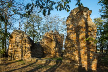 Güney Macaristan 'daki eski Csomorkany kilisesinin kalıntıları.