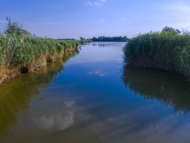 Güney Macaristan 'da Roszke ve Szeged yakınlarındaki Gyala Backwater