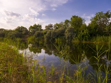 Gyala Backwater near Roszke and Szeged in South Hungary clipart