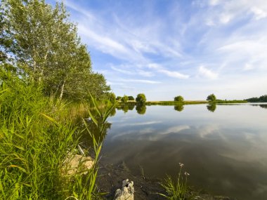 Güney Macaristan 'da Roszke ve Szeged yakınlarındaki Gyala Backwater