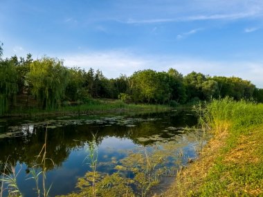 Güney Macaristan 'da Roszke ve Szeged yakınlarındaki Gyala Backwater