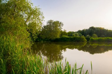 Macaristan, Tiszaalpar 'daki Tisza nehrinin durgun suları