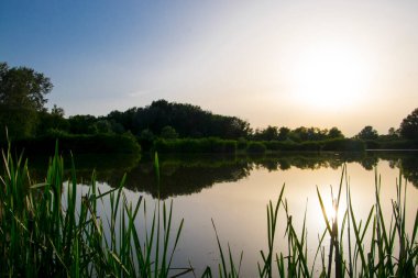 Macaristan, Tiszaalpar 'daki Tisza nehrinin durgun suları