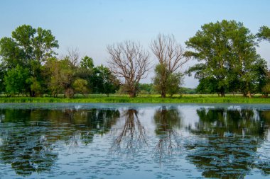 Macaristan, Tiszaalpar 'da durgun bir sahil.
