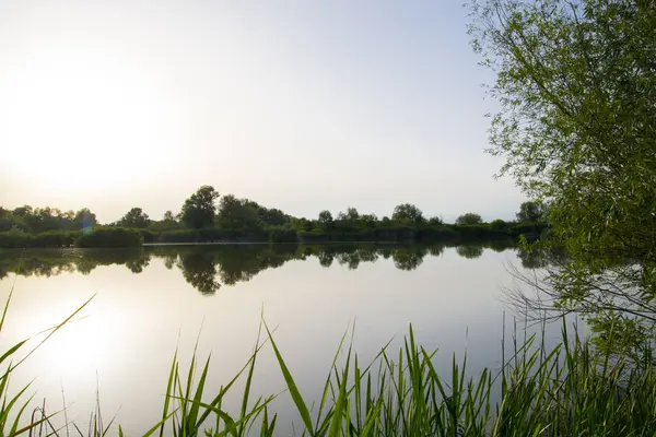 Macaristan, Tiszaalpar 'daki Tisza nehrinin durgun suları