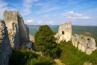 Castle of Gymes on the mount in Slovakia clipart