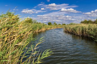 Macaristan 'da Sandorfalva ve Szeged yakınlarındaki Beyaz Göl' de kanal