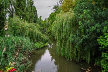 Kanal ve park Bekescsaba 'nın merkezine.