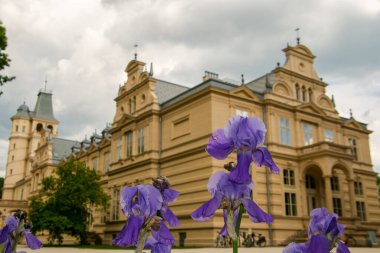 Güneydoğu Macaristan 'da Wenckheim Şatosu binası