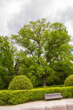 Park of the Chateau Wenckheim in Southeast Hungary clipart