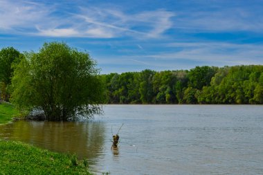 İlkbaharda Csongrad 'daki Tisza nehri.