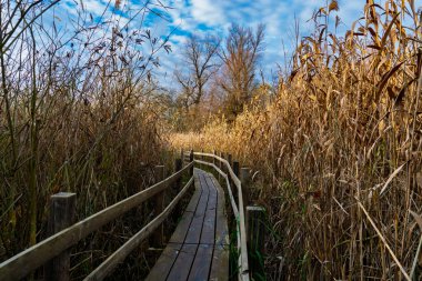 Martly 'deki Doğa Yolu' nda iskele.