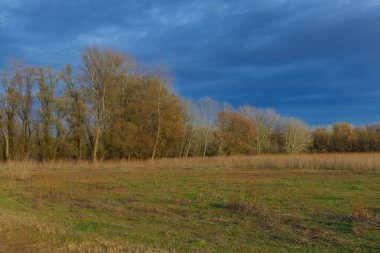 Pasture near the Forest of Martely clipart