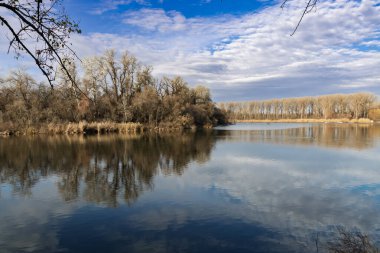 Martly 'deki Tisza' nın Sahili 'nde