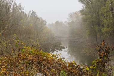 Baja yakınlarındaki Gemenc 'teki Kasım Ormanı' nda bir nehir.
