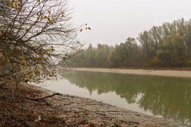 Baja yakınlarındaki Gemenc 'teki Kasım Ormanı' nda bir nehir.