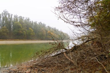 Baja yakınlarındaki Gemenc 'teki Kasım Ormanı' nda bir nehir.