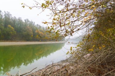 Baja yakınlarındaki Gemenc 'teki Kasım Ormanı' nda bir nehir.