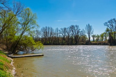 Mako yakınlarındaki Maros nehrinin sahilinde.