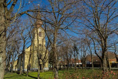 Csongrad 'daki Aziz Rokus Katolik Kilisesi