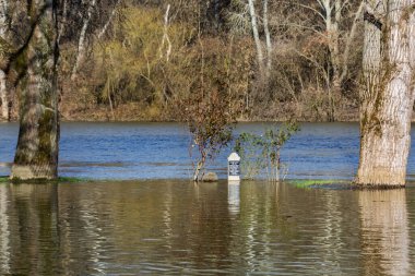CSONGRAD, HUNGARY - 3 Mart 2024: Csongrad 'daki Tisza nehrindeki limanda sel basmış mezar