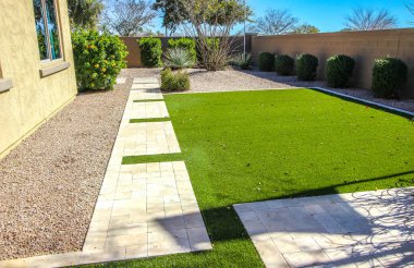 Rear Yard Setting With Bushes And Cacti