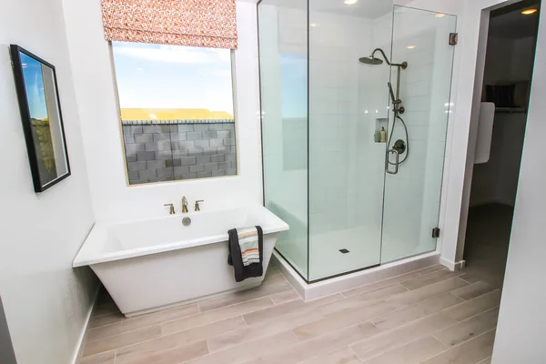主浴室玻璃淋浴器及浴盆 — 图库照片