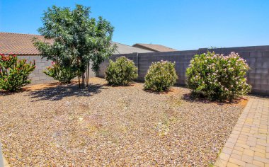 Çölün Arka Bahçesi Yeşillik Yetimhanesi