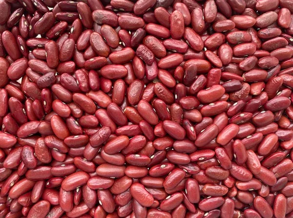 Close up Red beans background. Red beans seeds.