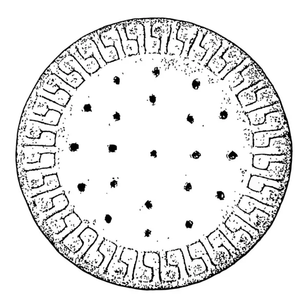 Круглый Эскиз Печенья Иллюстрации Изолированы Белом Фоне — стоковый вектор