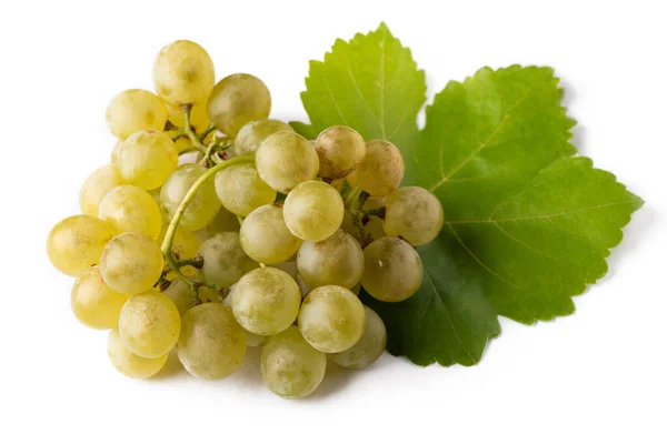 Groene Rijpe Druiven Geïsoleerd Witte Achtergrond — Stockfoto