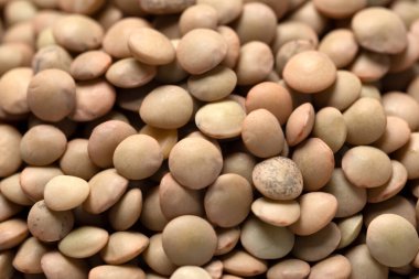 Taze mercimeği yakın.