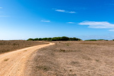 Ufukta orman ve mavi gökyüzü arkaplanı olan terk edilmiş bir arazi.