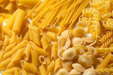 çeşitli spagetti. orecchiette, penne, rotelle, fusilli